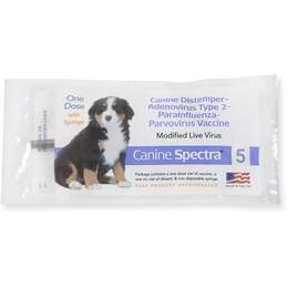 Canine Spectra 5, Single Syringe