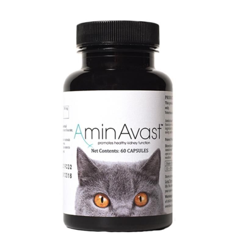 AminAvast Kidney Support for Dogs and Cats, 60 Capsules | Free 2