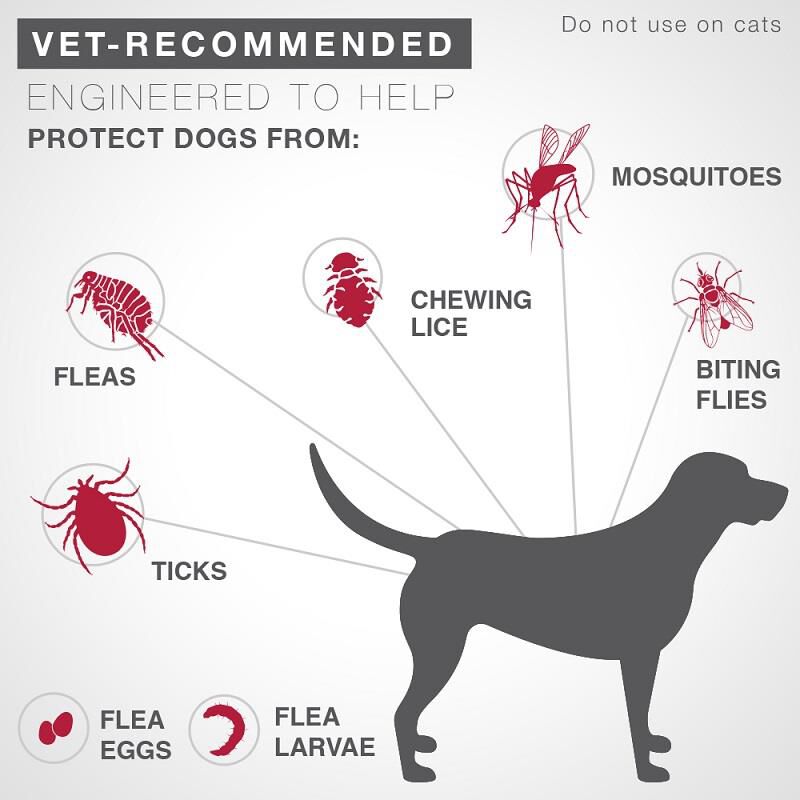 K9 Advantix II for Dogs