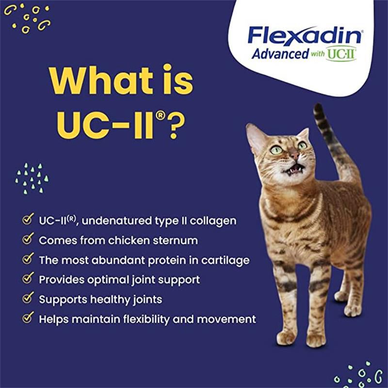 Flexadin Advanced Chews with UC II Free 2 Day Shipping AKCPetRx