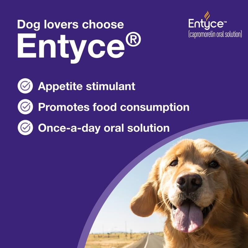 Entyce 食欲刺激剤 30 mL Entyce for Dogs 30 mg/ml (30 ml) | Free Shipping | EP Rx