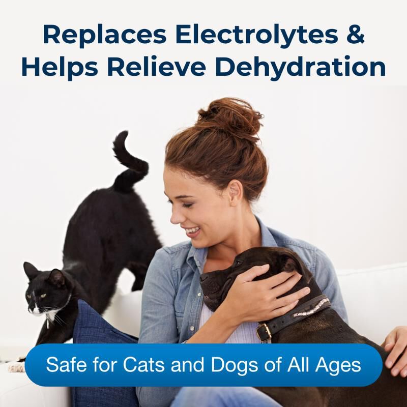 PetAG Pet Pectillin Diarrhea Medication for Dogs & Cats, 4 oz