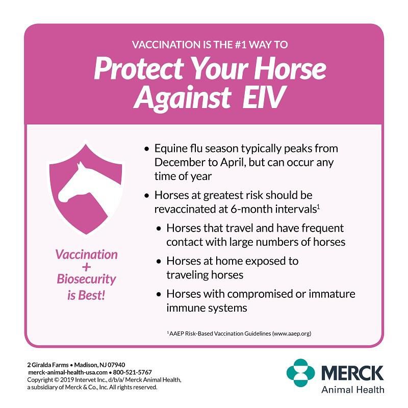 Prestige 4, 10 ds Vial