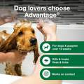 Advantage Treatment Shampoo for Dogs and Puppies, 24 oz