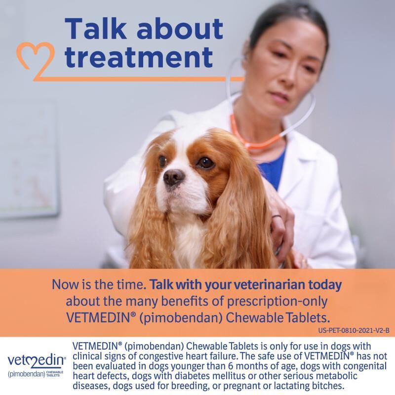 Vetmedin Chewable Tablets
