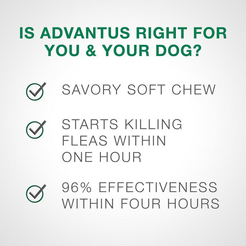 Advantus Oral Flea Treatment Soft Chews for Dogs Free 2 Day Shipping AKCPetRx