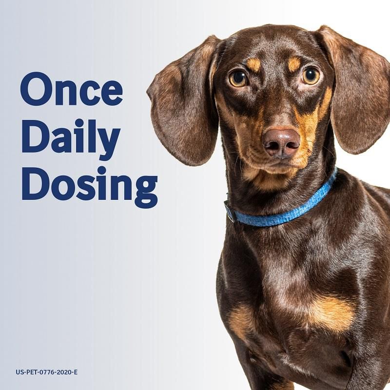 Metacam 0.5 mg/ml Oral Suspension