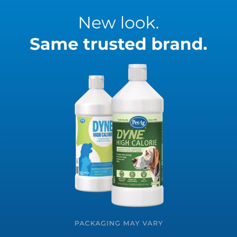 PetAg Dyne High Calorie Liquid Nutritional Supplement for Dogs, 16 oz