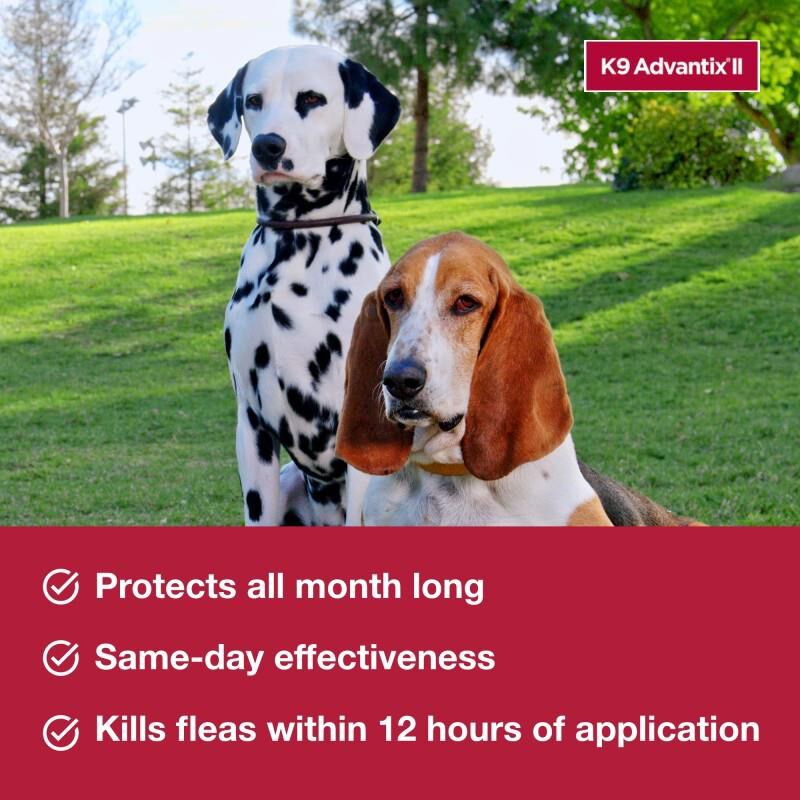 K9 Advantix II for Dogs Free 2 Day Shipping AKCPetRx