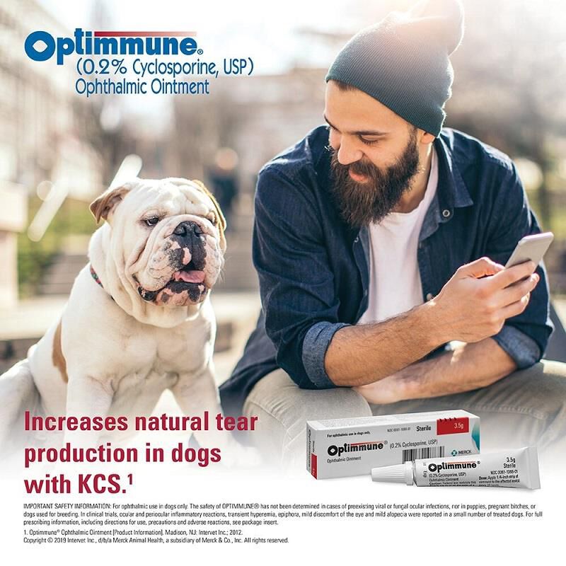 Merck Animal Health Optimmune Ophthalmic Ointment 0.2 for Dogs with Keratoconjunctivitis dry eye 3.5g Tube