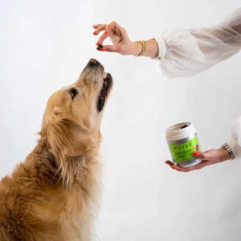 Glyde Mobility Chews for Dogs