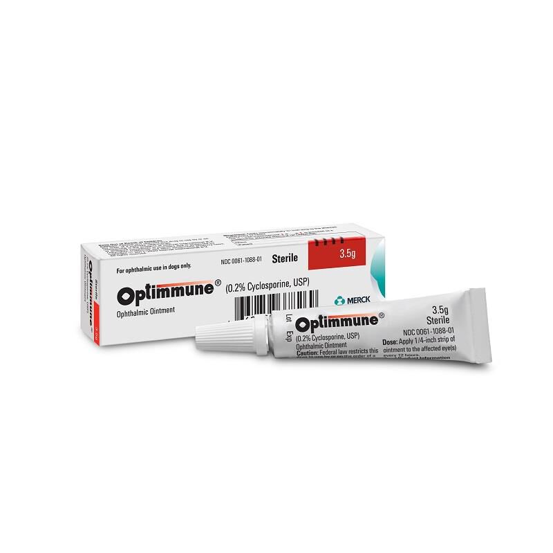 Otc eye ointment for dogs shop