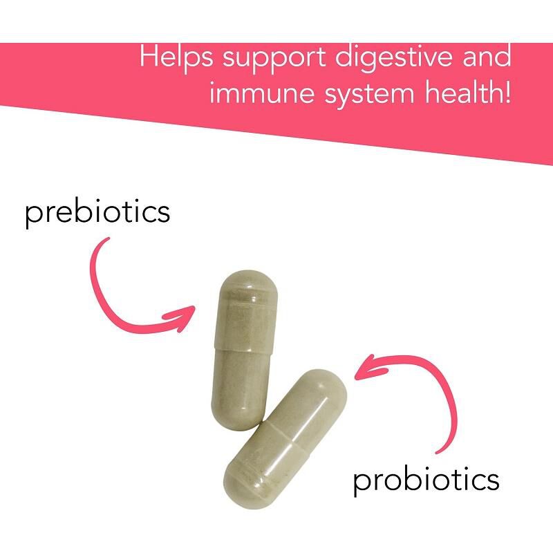 VetriScience Vetri Mega Probiotic for Dogs and Cats with Digestive