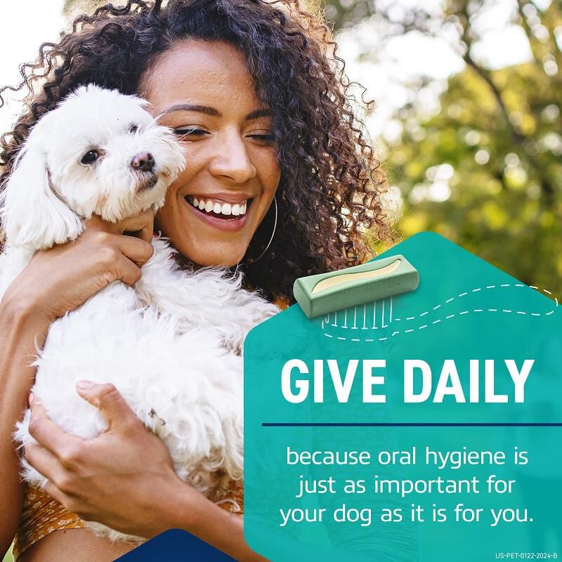 Akc dental chews clearance